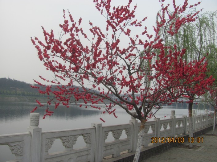 A011.jpg