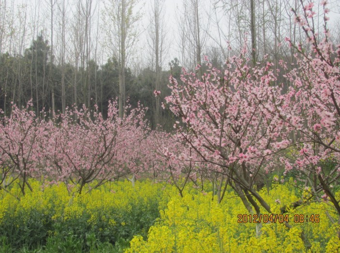 A018.jpg