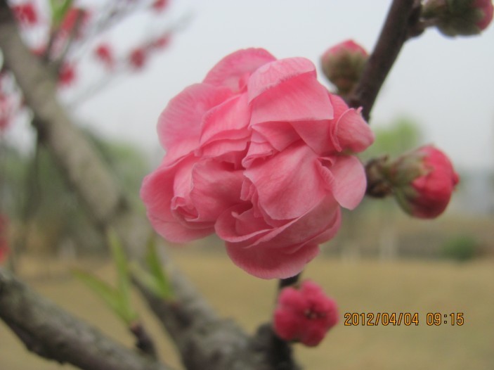 A022.jpg