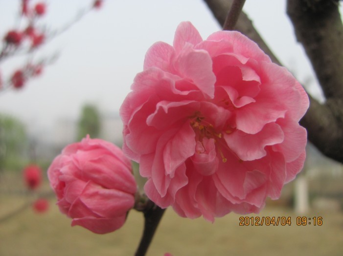 A023.jpg