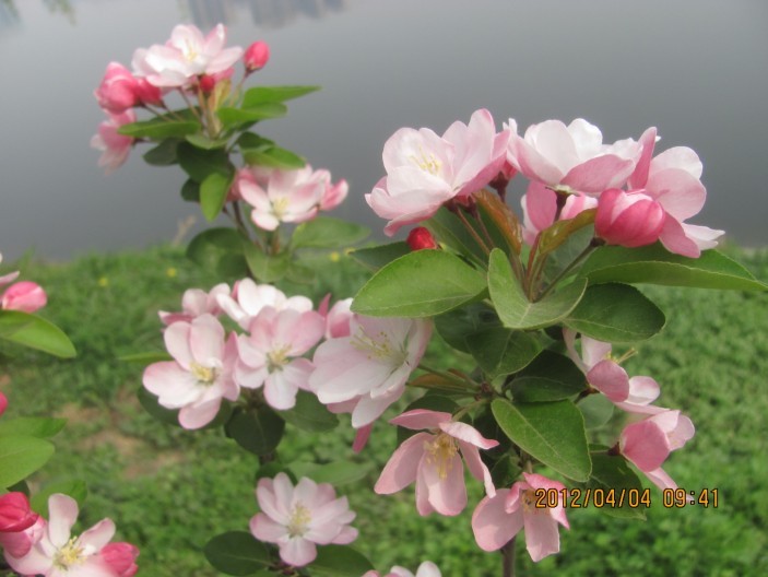 A027.jpg