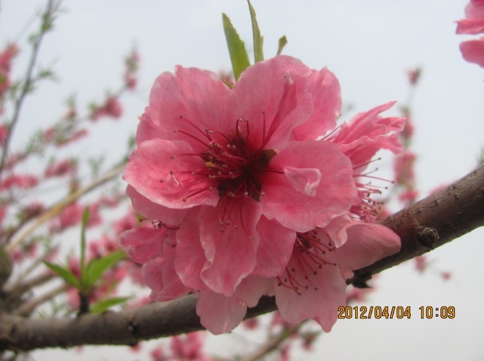 A029.jpg