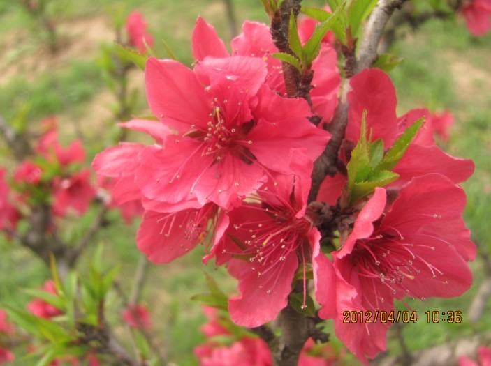 A032.jpg