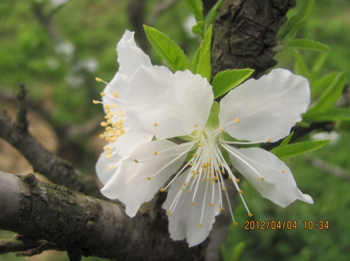 A030.jpg