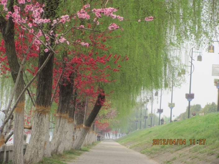 A036.jpg
