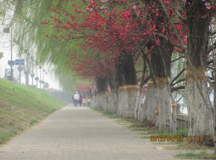 A034.jpg