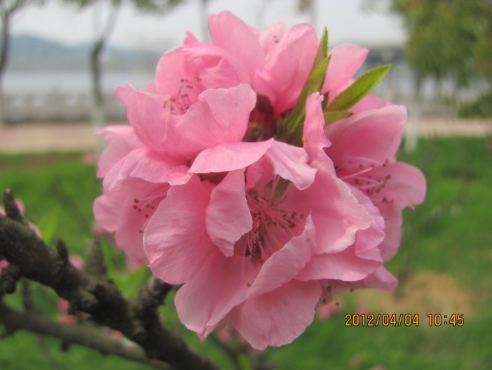 A033.jpg