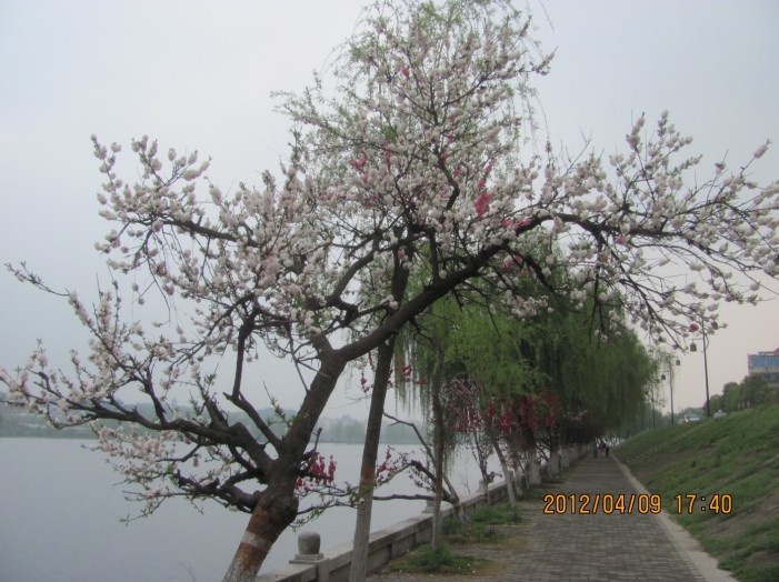 A037.jpg