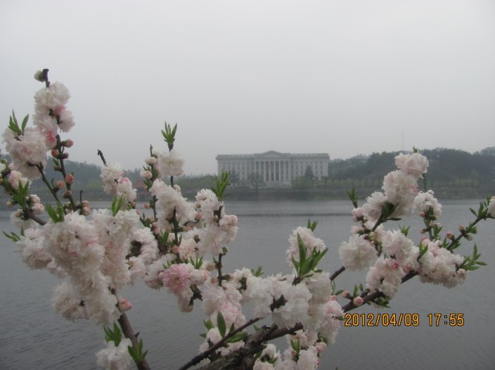 A041.jpg