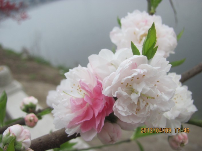 A039.jpg