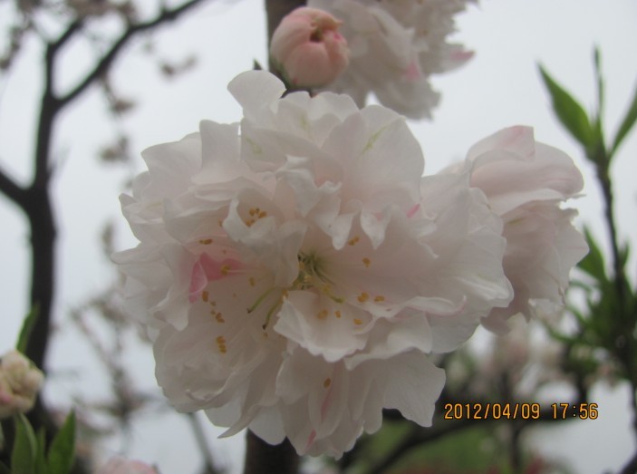 A042.jpg