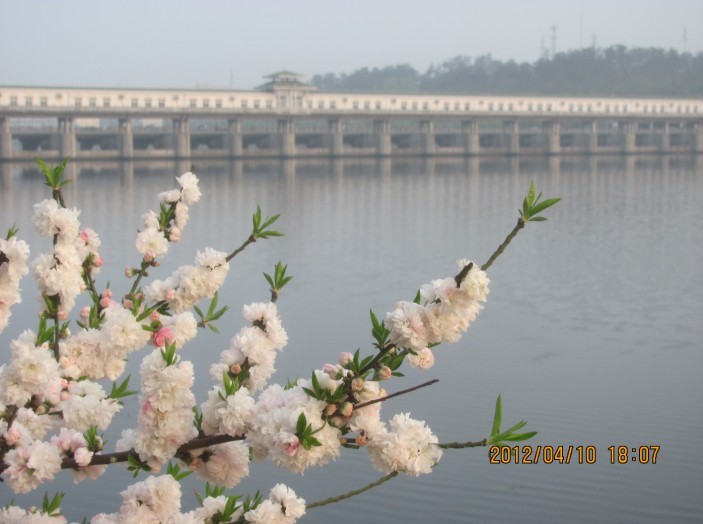A047.jpg