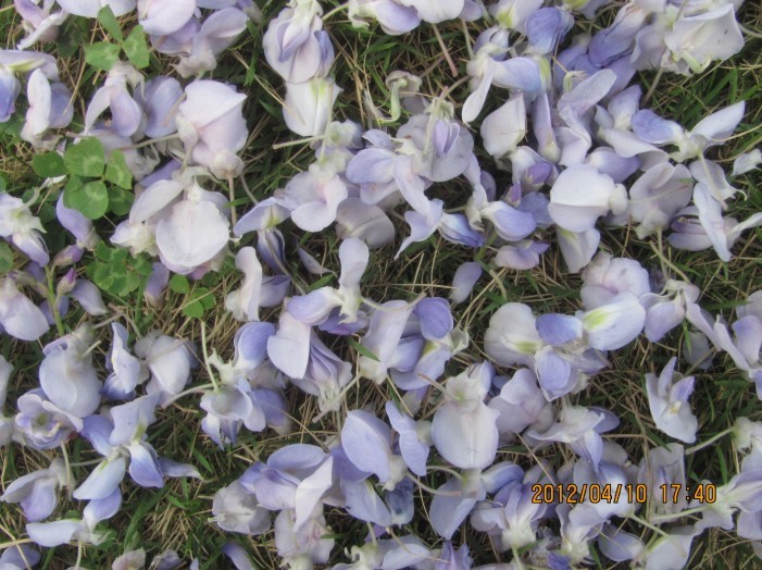 A045.jpg