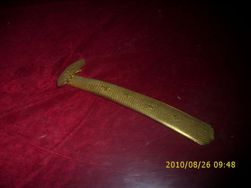 DSCI1568.JPG