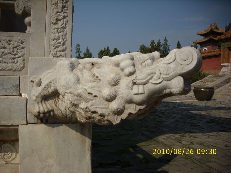 DSCI1561.JPG