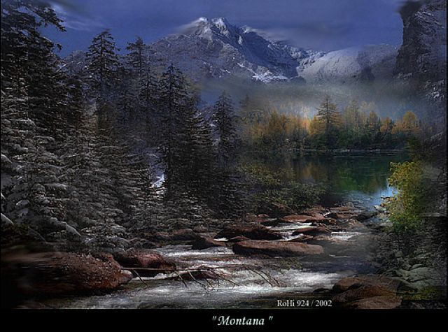 338799_238636_f4f4deffae[1].jpg