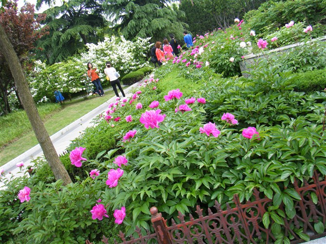 psbCAFRGM01.jpg