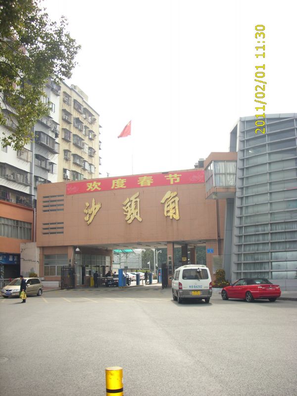 DSCI2037.JPG
