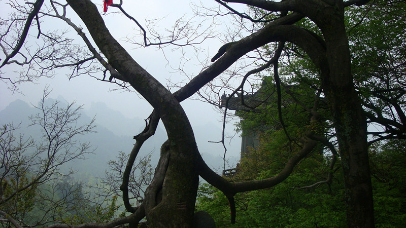 DSC05730_副本.jpg
