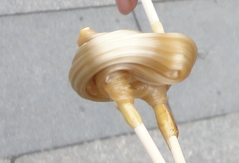 L001.jpg