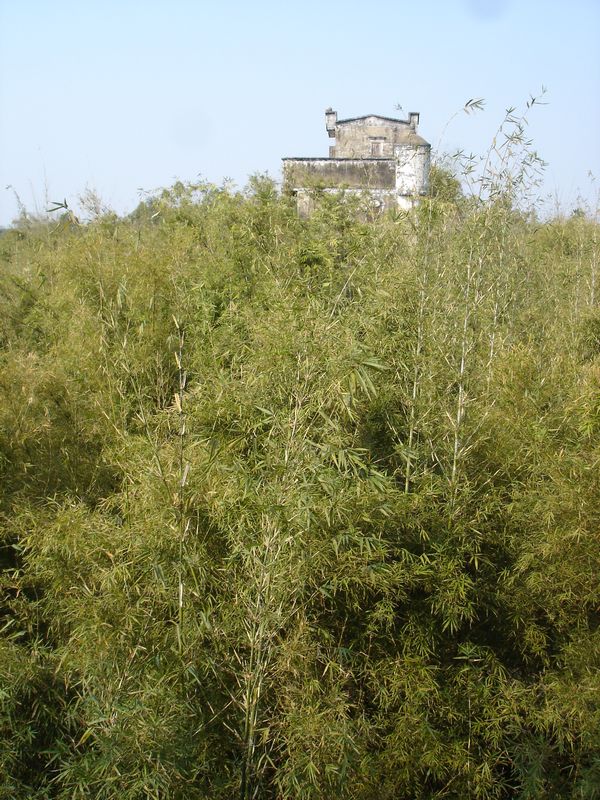 DSC07274.JPG