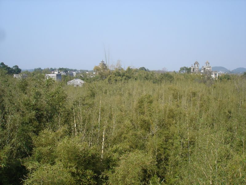 DSC07257.JPG