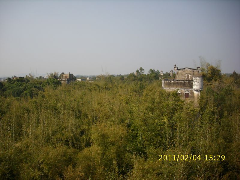 DSCI2199.JPG
