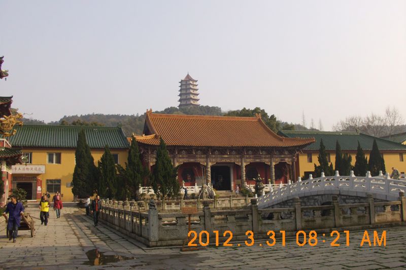 DSCI1478.JPG