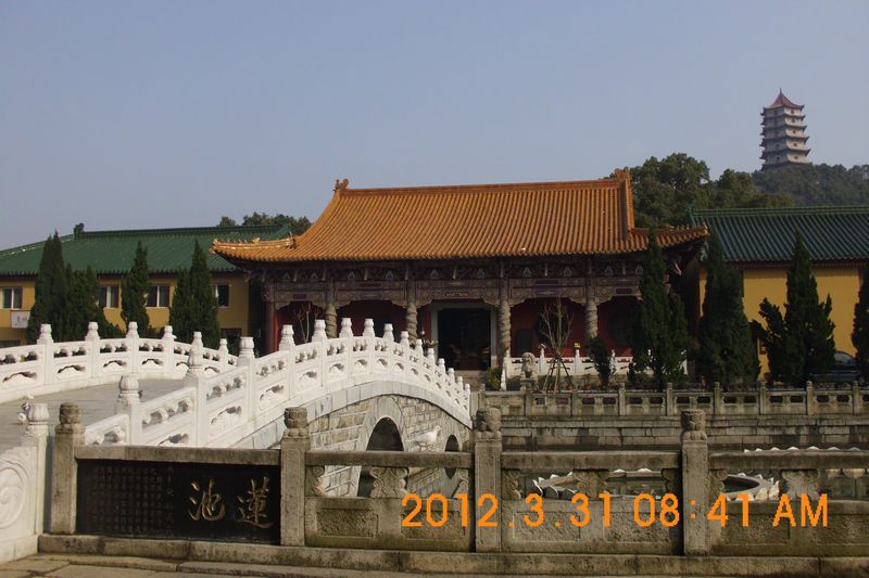 DSCI1484.JPG