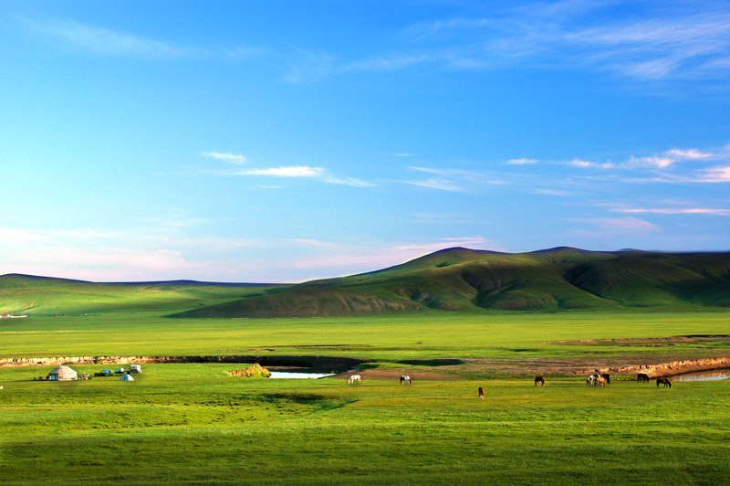 20100209_17f6d64e1eb93c64460dcXcnIBSsxZqh.jpg