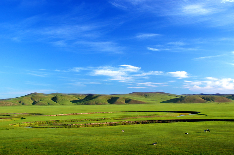 20100209_025ab3e94df924a26ff4cNs7eZFJEbUY.jpg