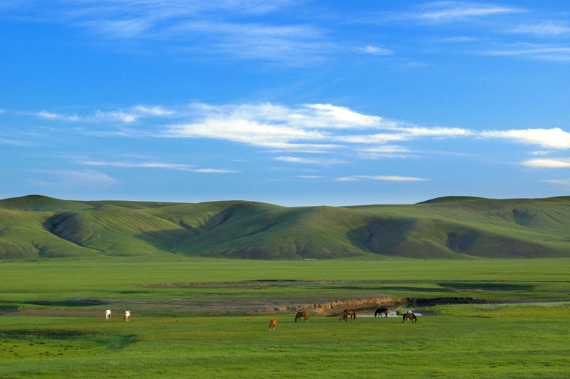 20100209_d583d067602898d41887n73pRYe7OdBV.jpg