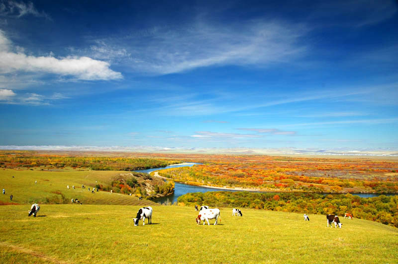 2008113215210_68415.jpg