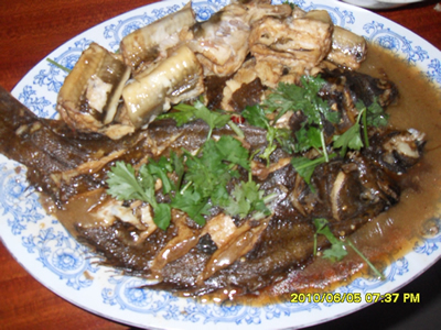 鸦片鱼.jpg