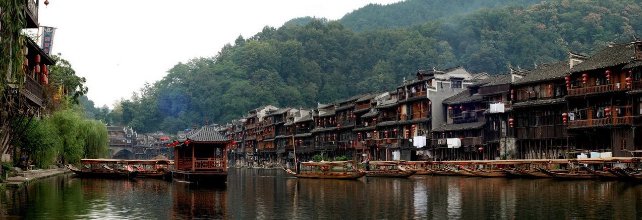 凤凰1.jpg