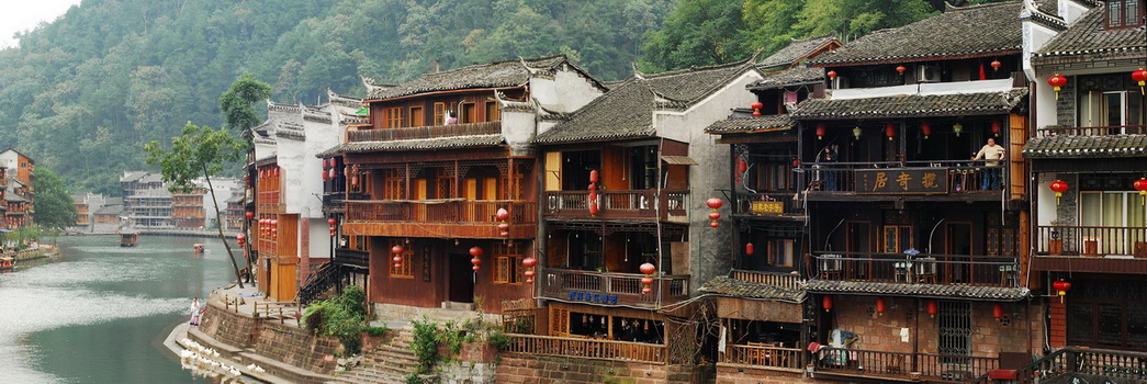 凤凰3.jpg