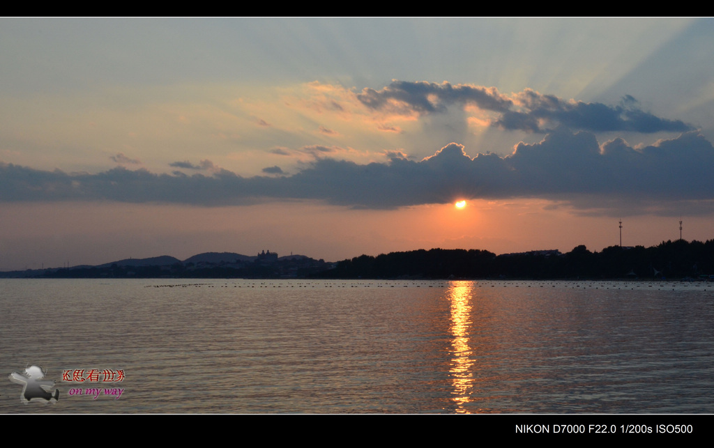 DSC_5037_nEO_IMG.jpg
