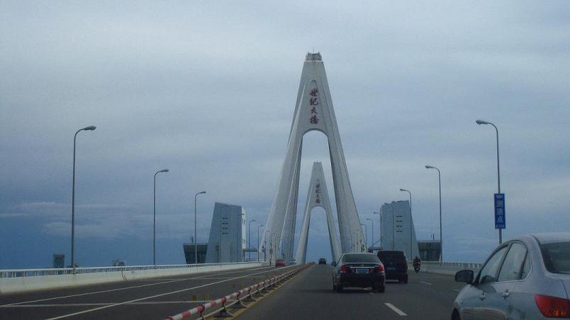 025回到海口顺便弯去海甸岛逛一圈晚上灯火辉煌的世纪大桥.JPG