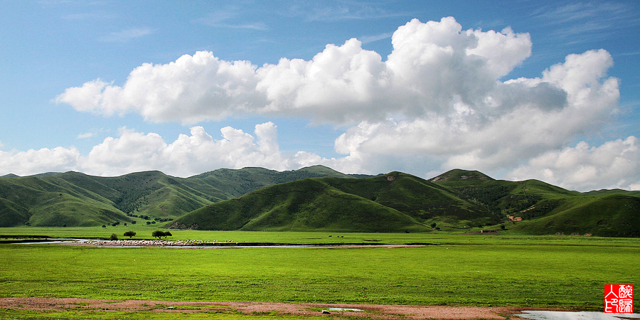草原IMG_8072.jpg