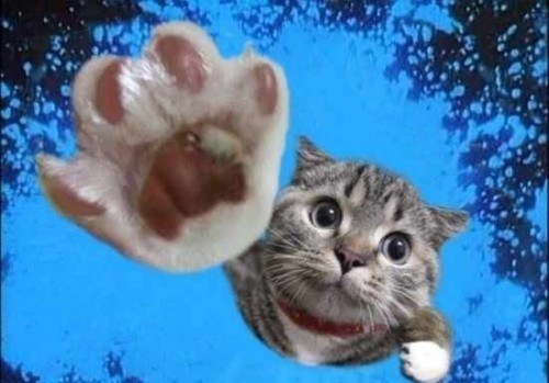 1088_72007380_repaste.jpg
