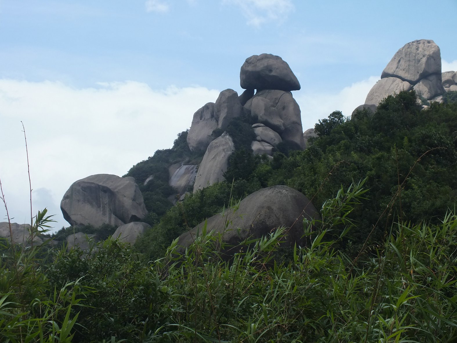 DSCF1879.JPG