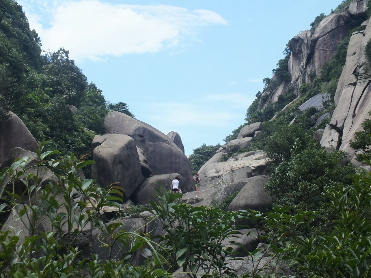 DSCF1891.JPG