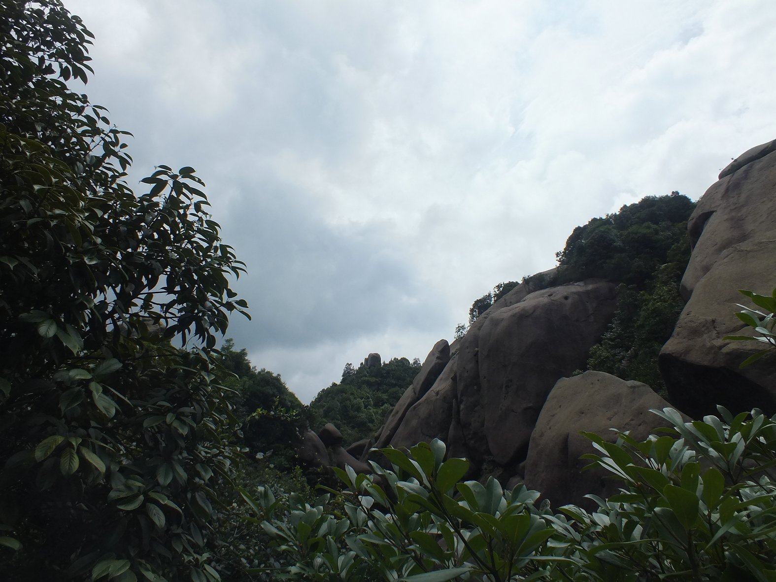 DSCF1894.JPG