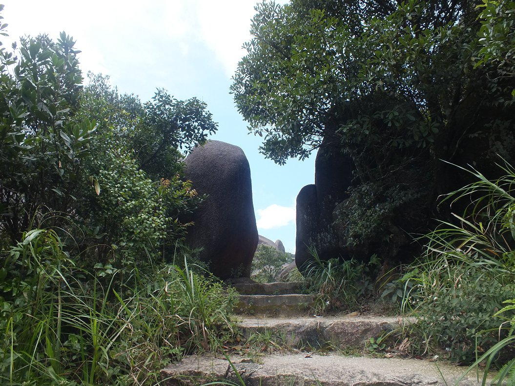 DSCF1895.JPG