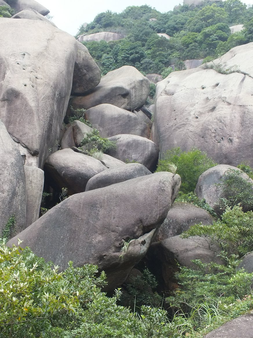 DSCF1904.JPG