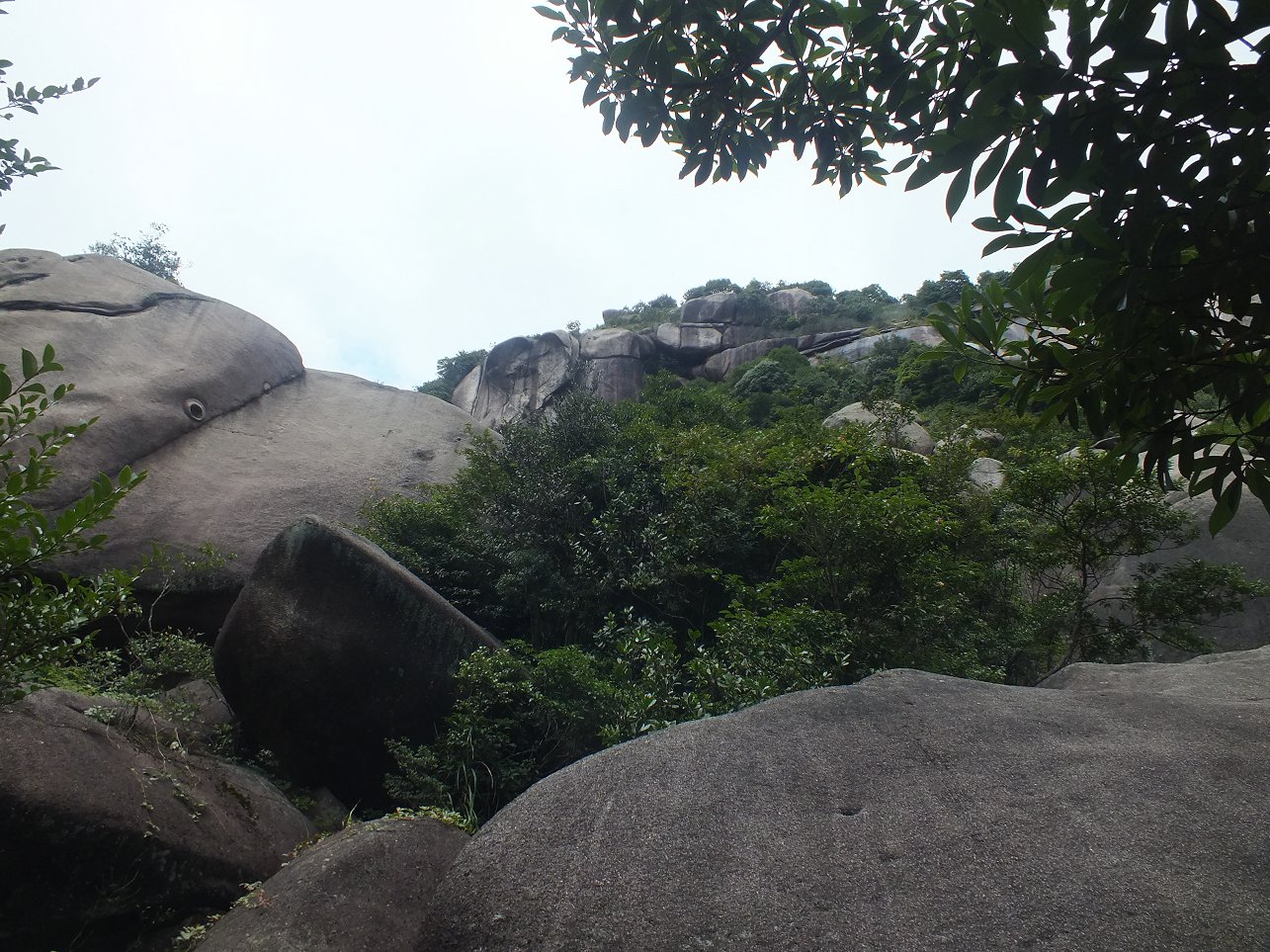 DSCF1907.JPG