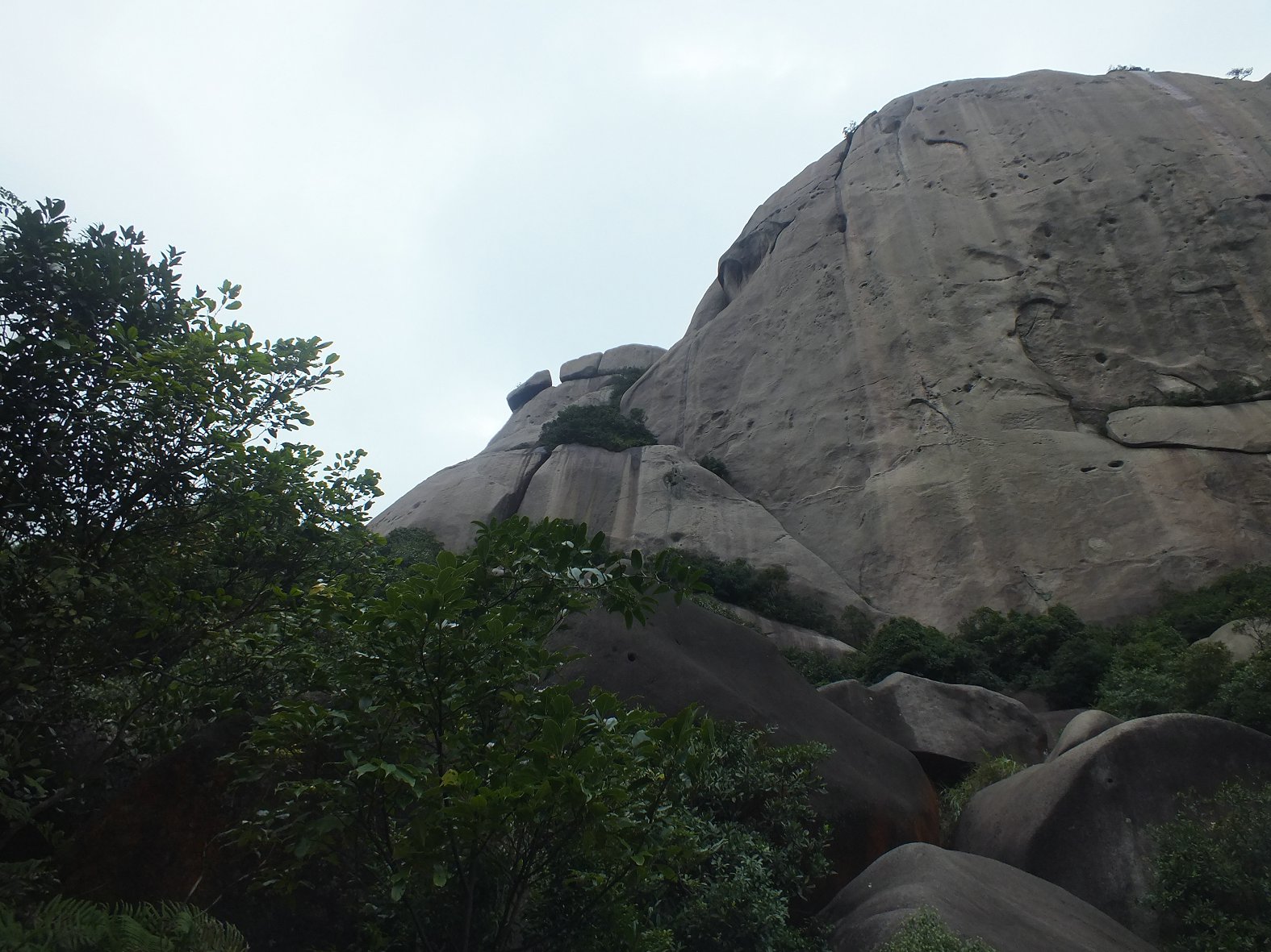 DSCF1909.JPG