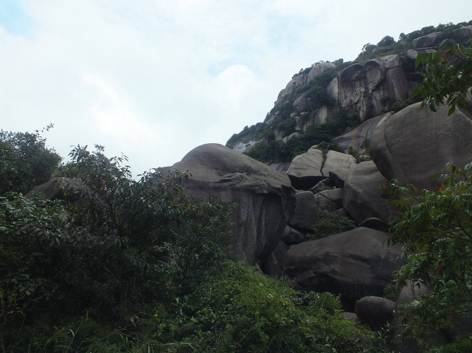 DSCF1911.JPG