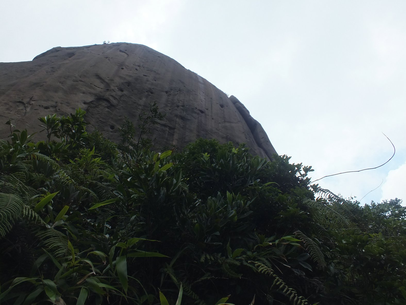 DSCF1912.JPG