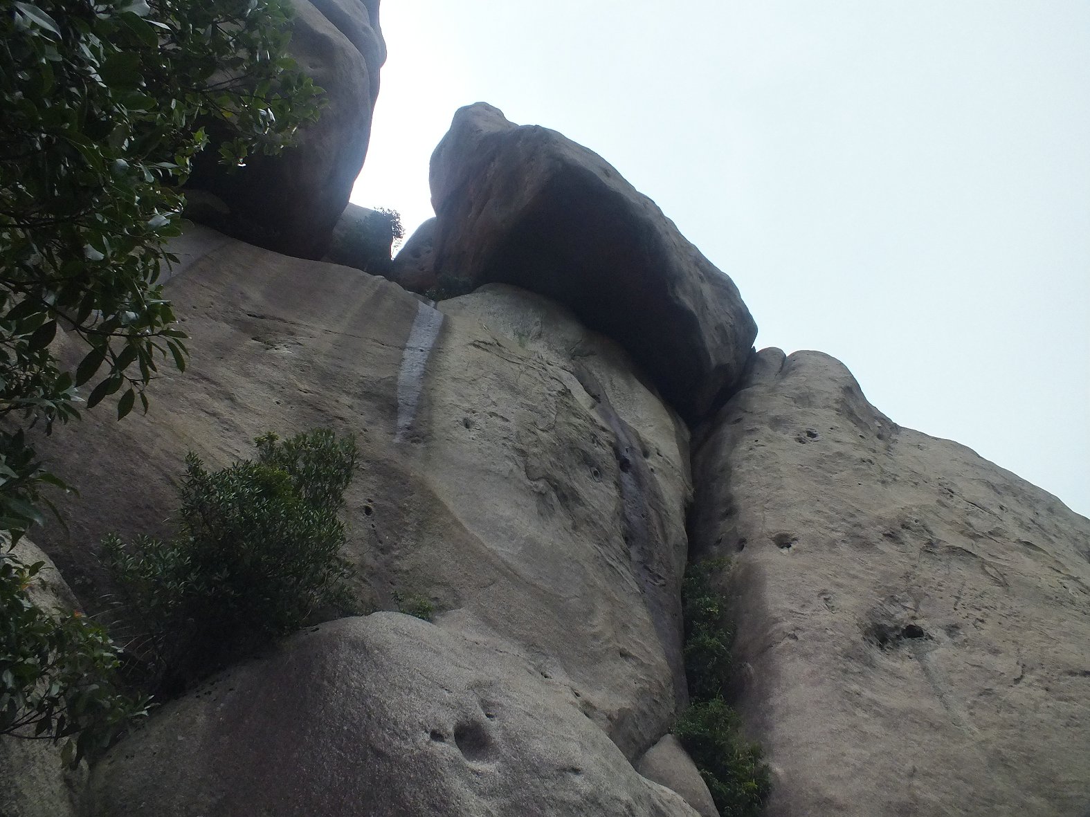 DSCF1931.JPG